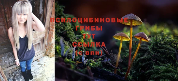 ГАЛЛЮЦИНОГЕННЫЕ ГРИБЫ Арсеньев