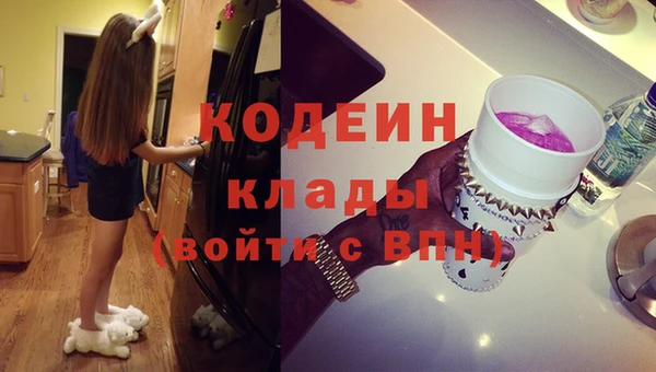 ГАЛЛЮЦИНОГЕННЫЕ ГРИБЫ Арсеньев
