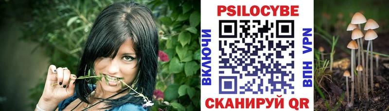 купить закладку  Барабинск  Псилоцибиновые грибы прущие грибы 